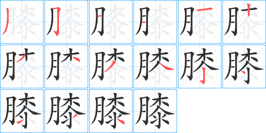 膝字的笔顺分布演示