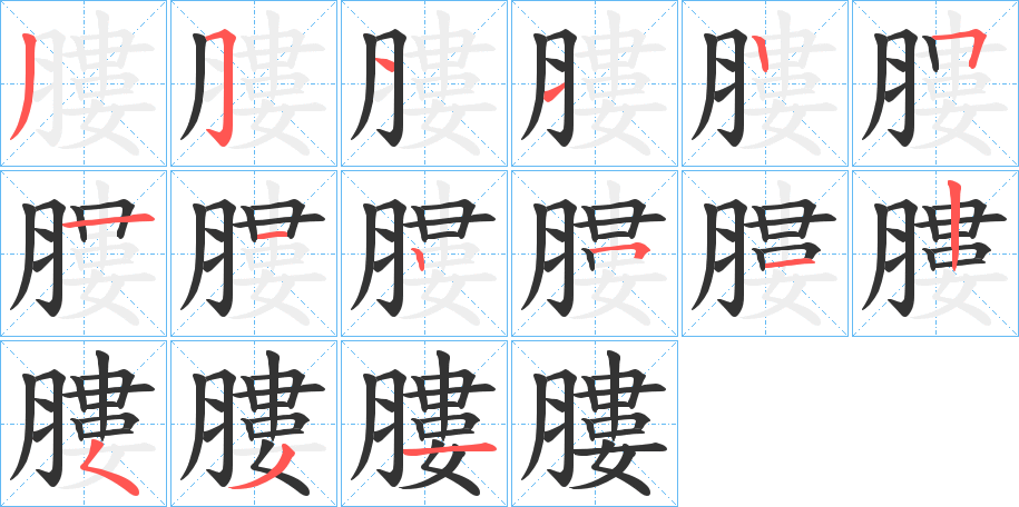 膢字的笔顺分布演示