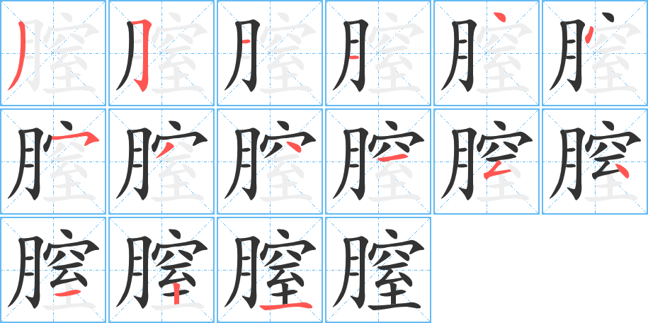 膣字的笔顺分布演示