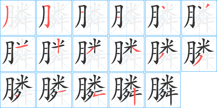 膦字的笔顺分布演示