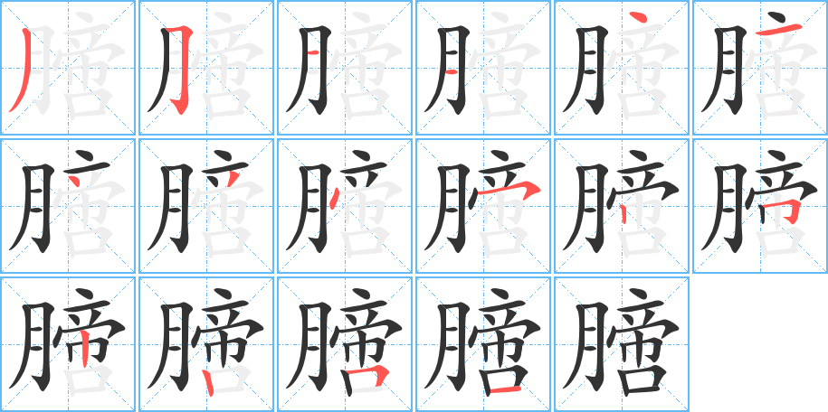 膪字的笔顺分布演示