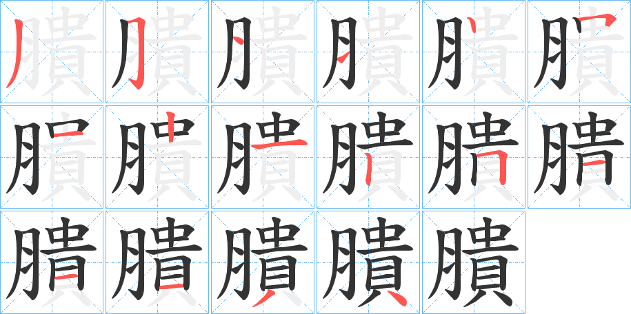 膭字的笔顺分布演示