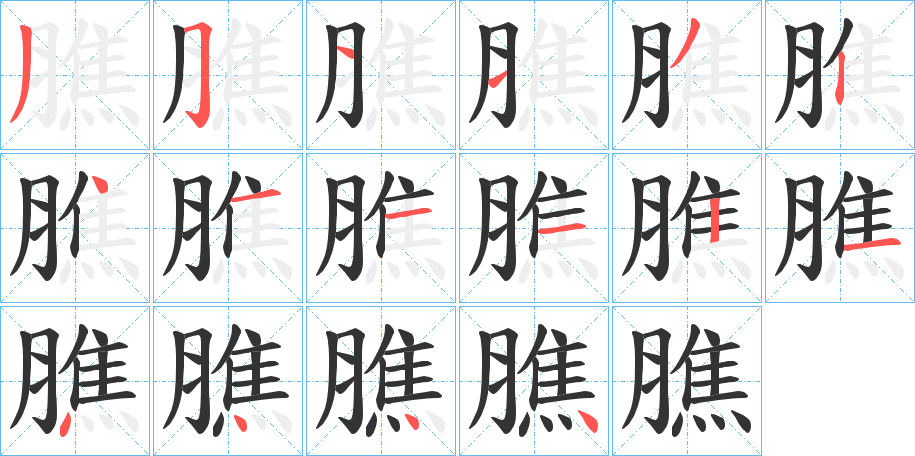 膲字的笔顺分布演示