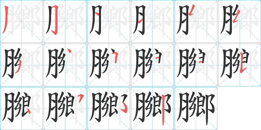 膷字的笔顺分布演示