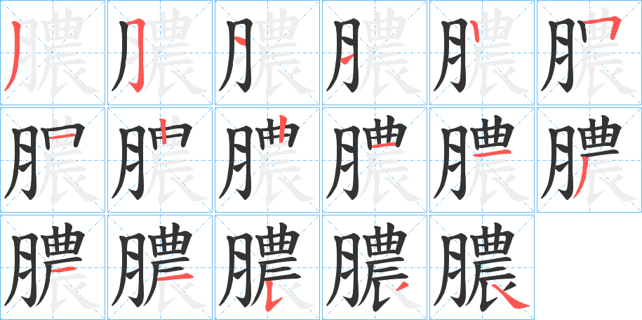 膿字的笔顺分布演示