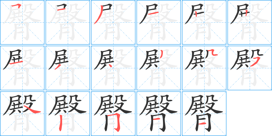 臀字的笔顺分布演示