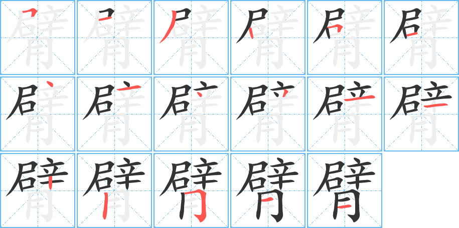 臂字的笔顺分布演示