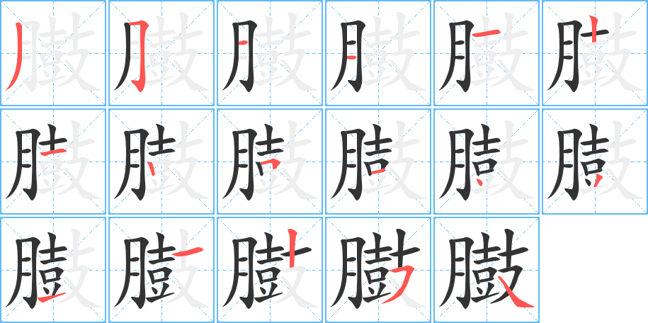 臌字的笔顺分布演示