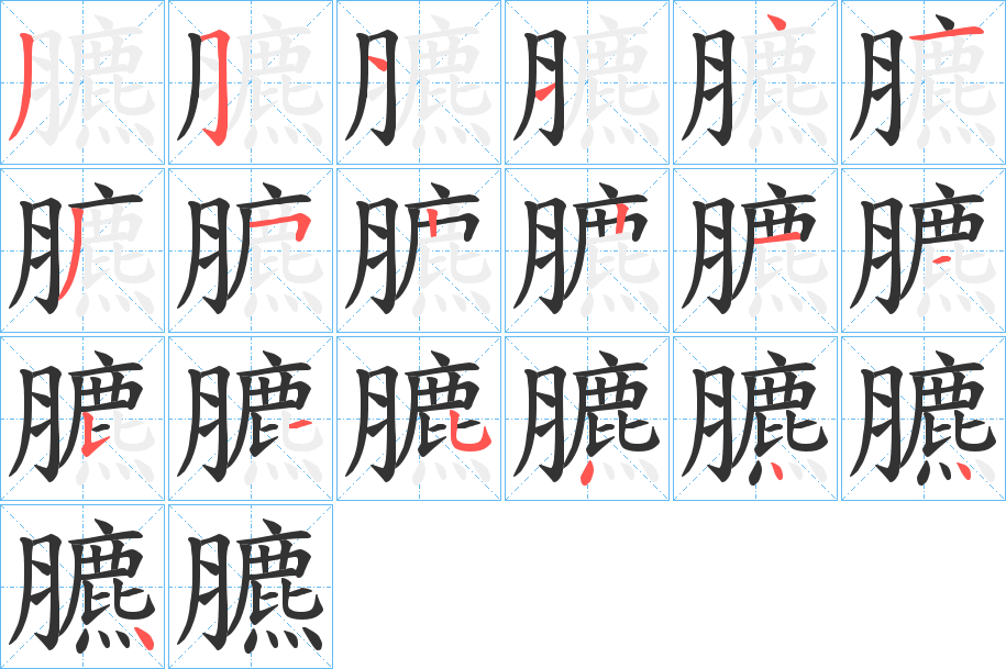 臕字的笔顺分布演示