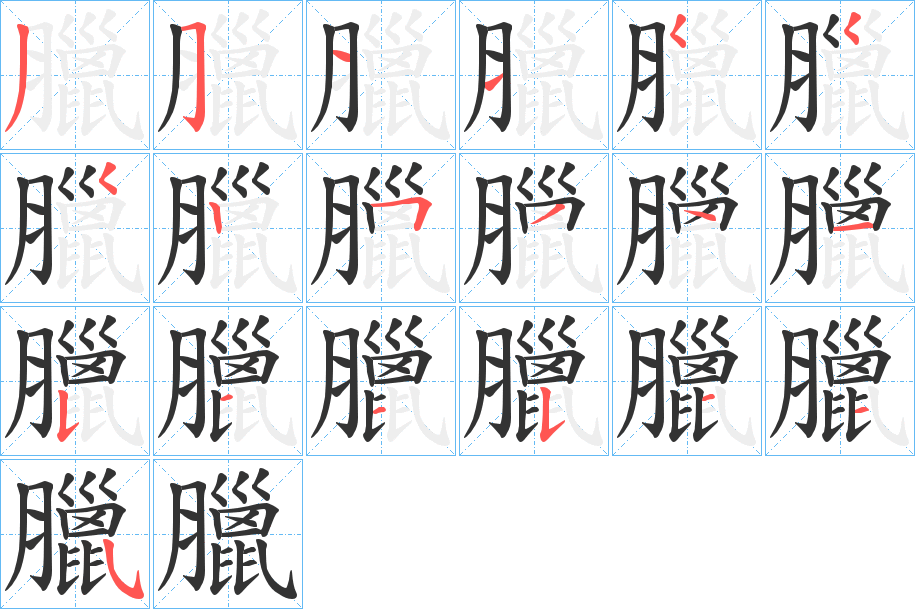 臘字的笔顺分布演示