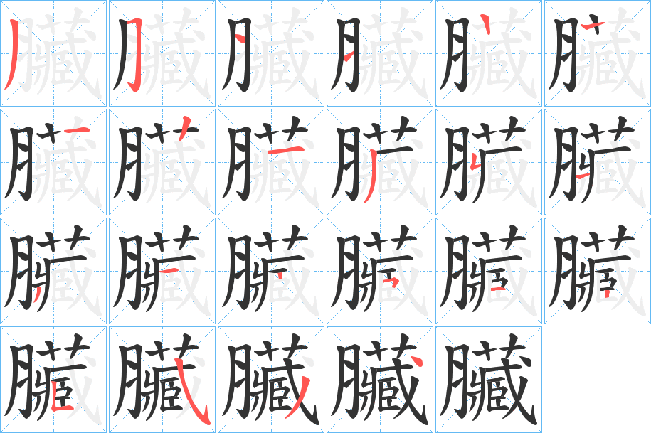 臟字的笔顺分布演示