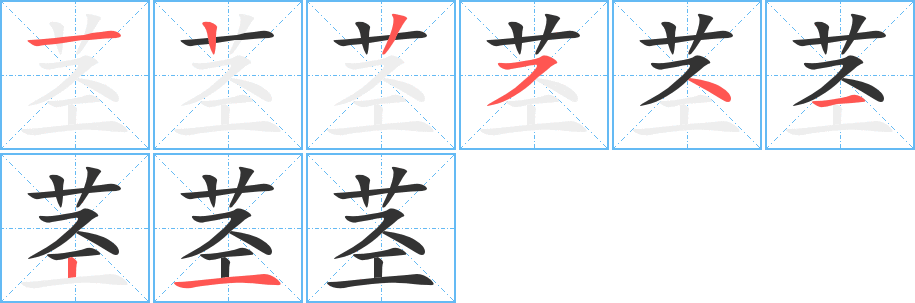 茎字的笔顺分布演示