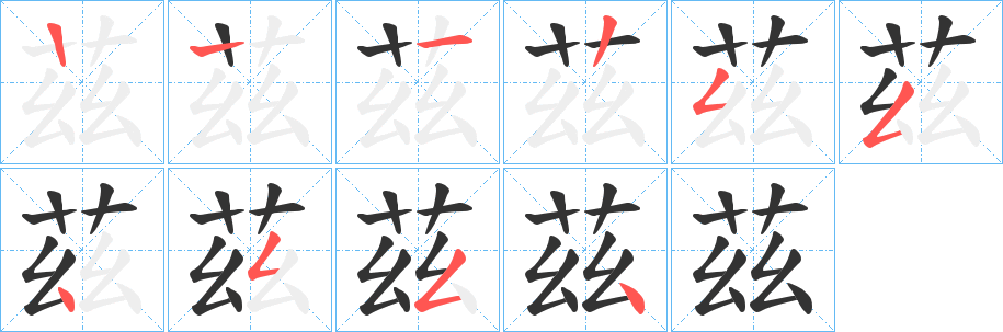 茲字的笔顺分布演示