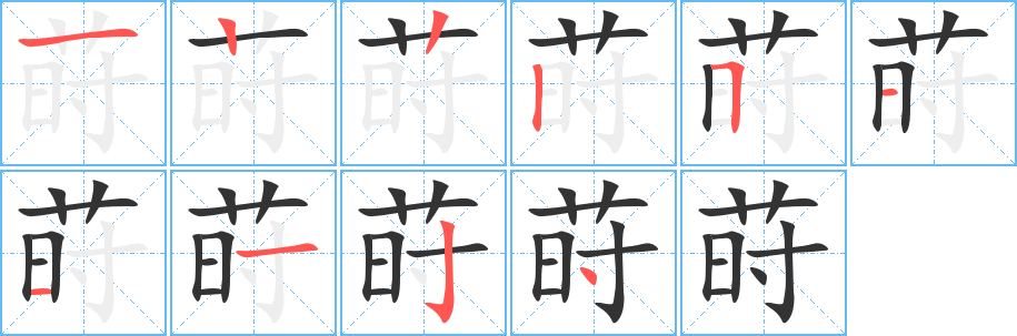 莳字的笔顺分布演示