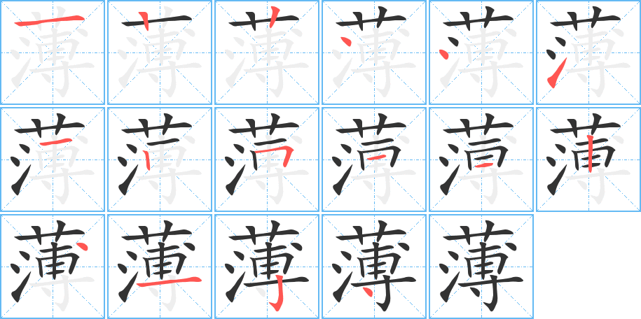 薄字的笔顺分布演示