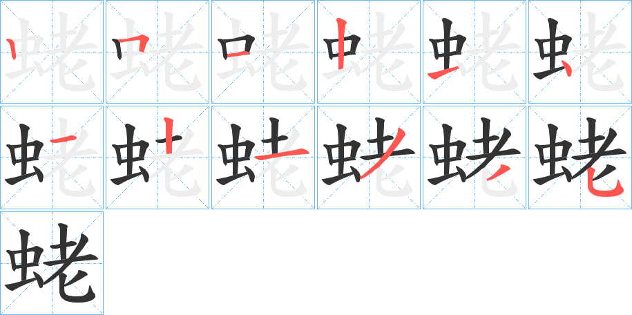 蛯字的笔顺分布演示