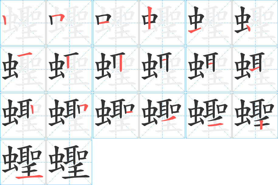 蟶字的笔顺分布演示