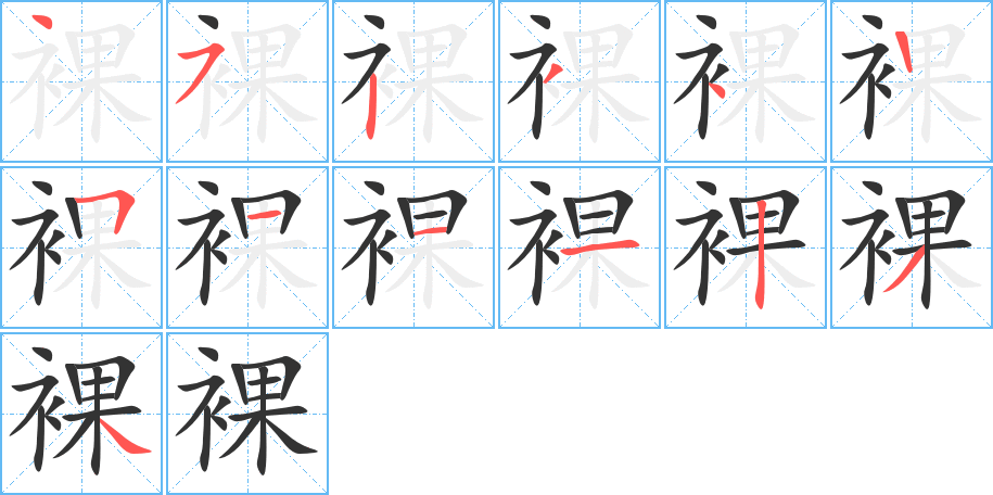 裸字的笔顺分布演示