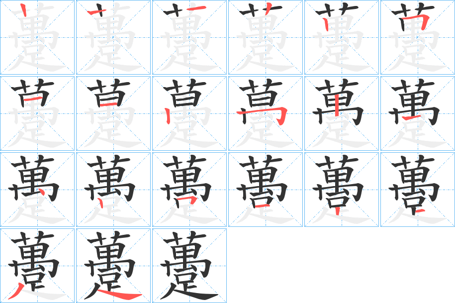 躉字的笔顺分布演示