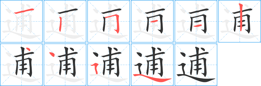 逋字的笔顺分布演示