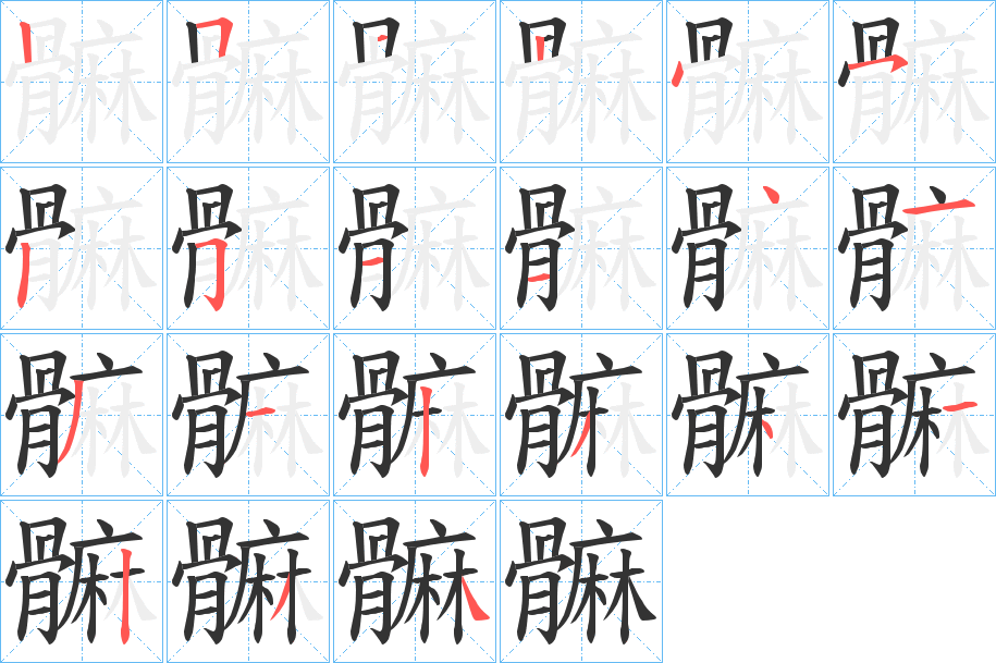 髍字的笔顺分布演示