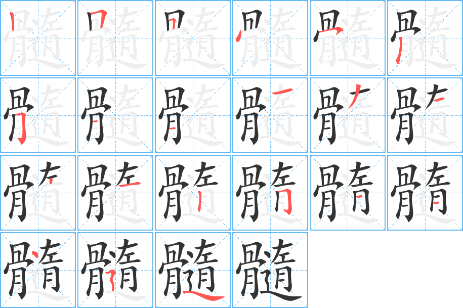 髓字的笔顺分布演示