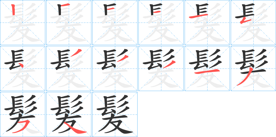 髪字的笔顺分布演示