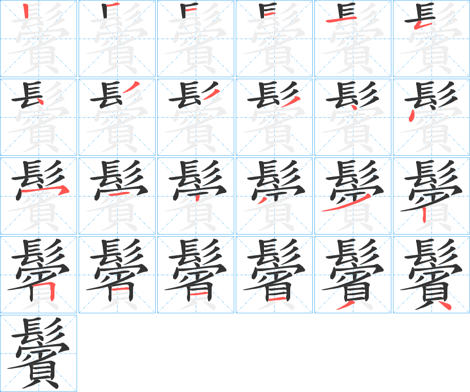 鬢字的笔顺分布演示