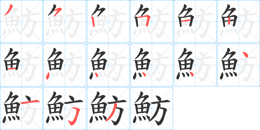 魴字的笔顺分布演示