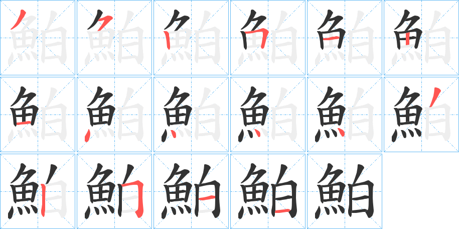 鮊字的笔顺分布演示