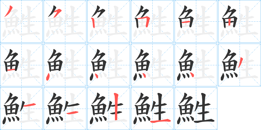 鮏字的笔顺分布演示