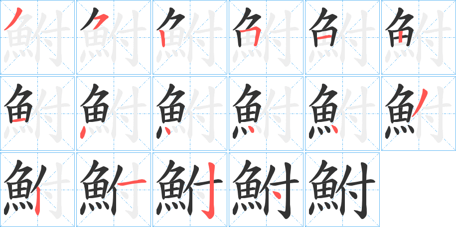 鮒字的笔顺分布演示