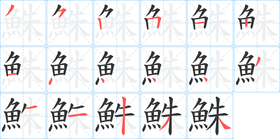 鮢字的笔顺分布演示