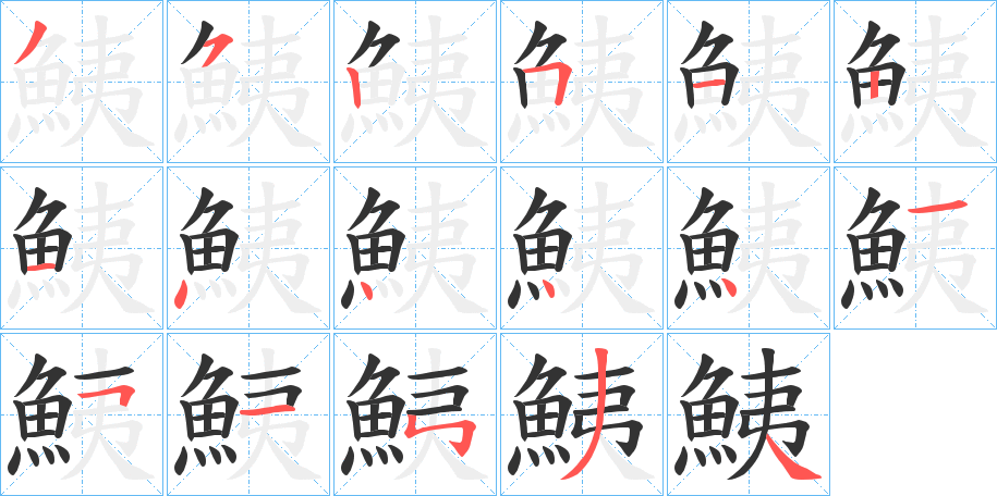 鮧字的笔顺分布演示