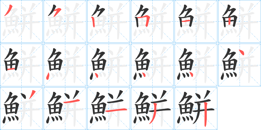 鮩字的笔顺分布演示