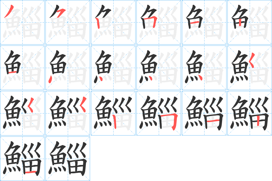 鯔字的笔顺分布演示