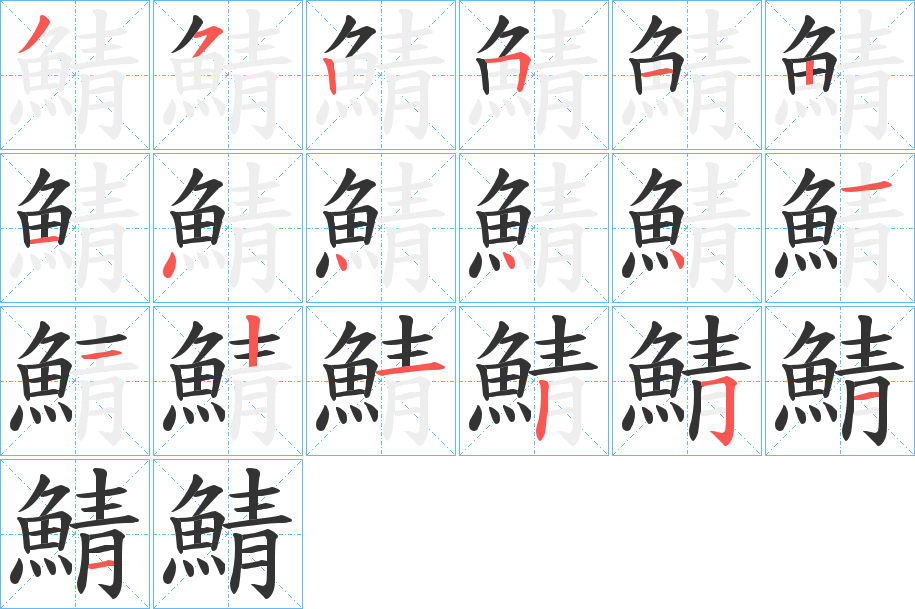 鯖字的笔顺分布演示