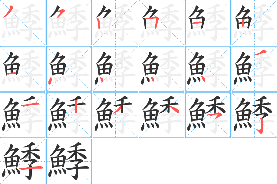 鯚字的笔顺分布演示