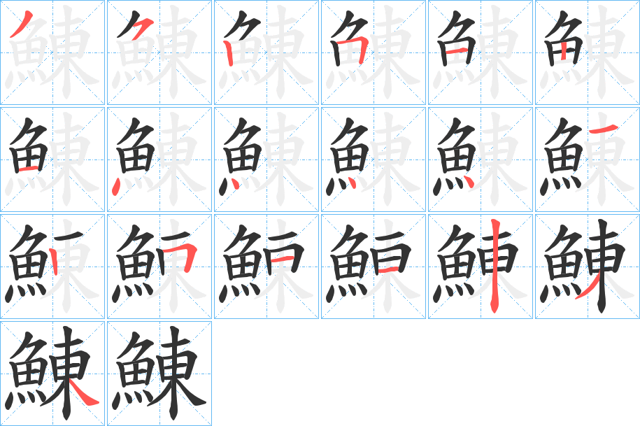 鯟字的笔顺分布演示