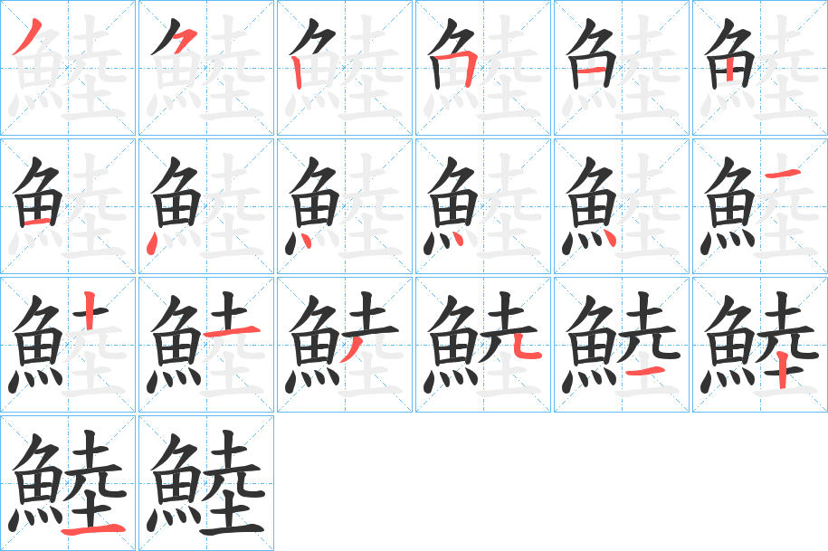 鯥字的笔顺分布演示