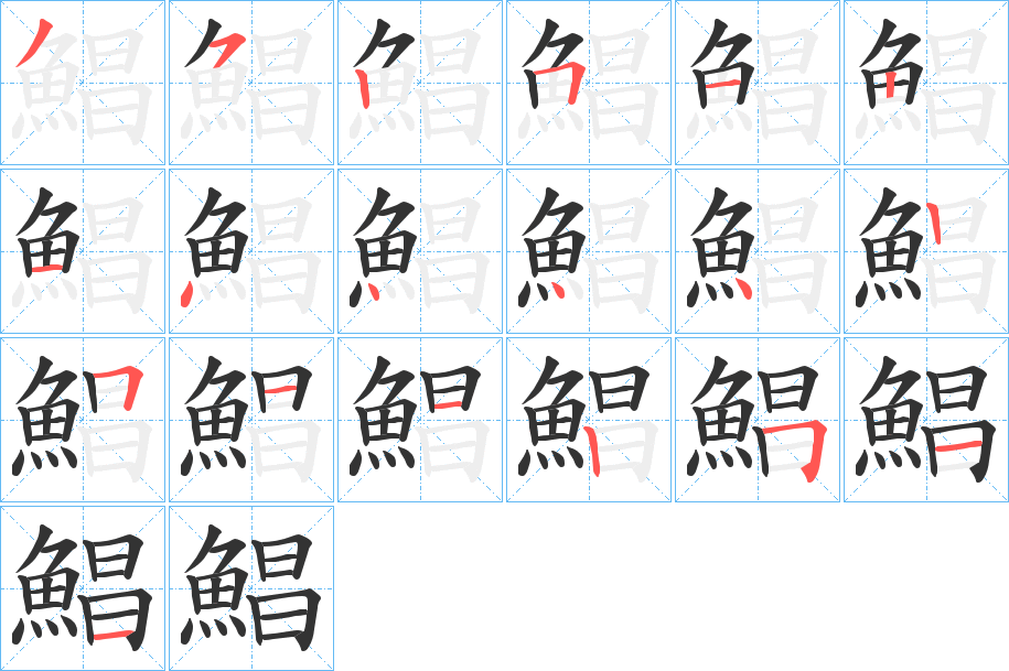 鯧字的笔顺分布演示