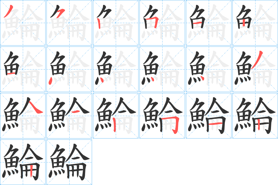 鯩字的笔顺分布演示