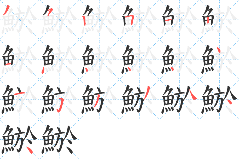 鯲字的笔顺分布演示