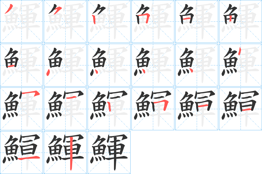 鯶字的笔顺分布演示