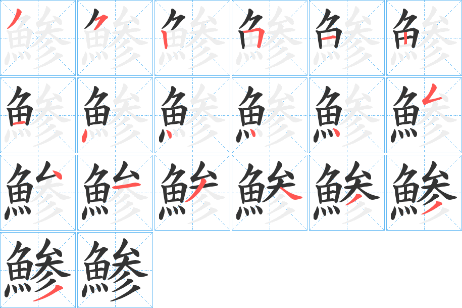 鯵字的笔顺分布演示