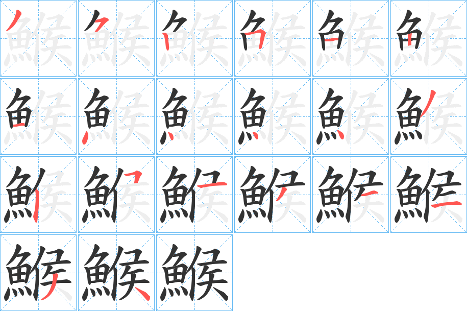 鯸字的笔顺分布演示