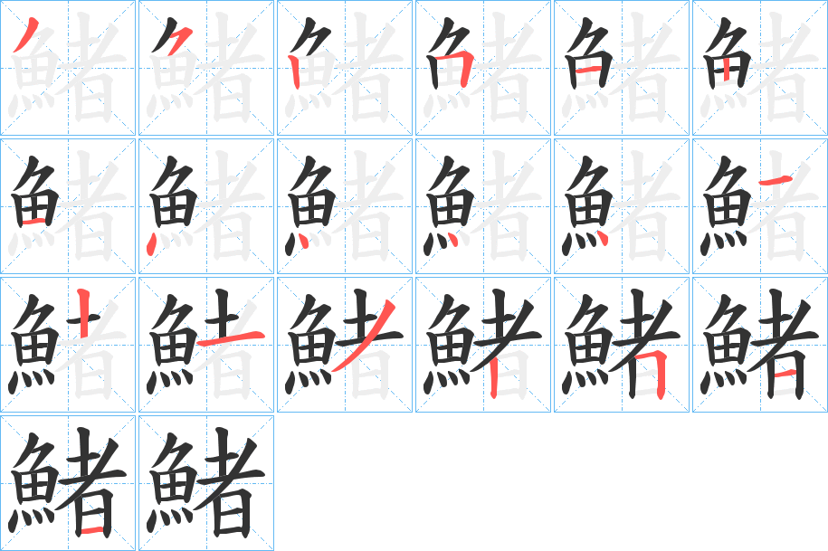 鯺字的笔顺分布演示