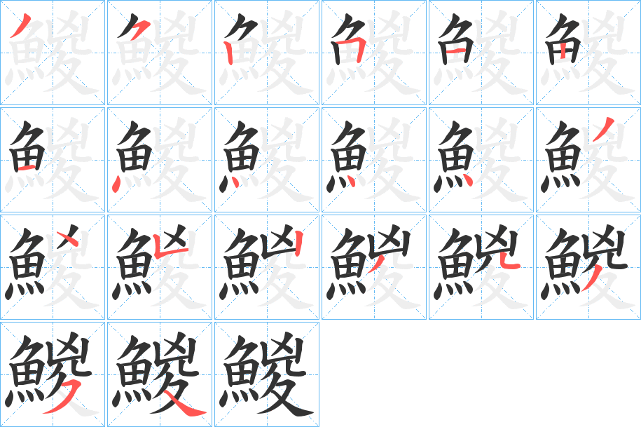 鯼字的笔顺分布演示