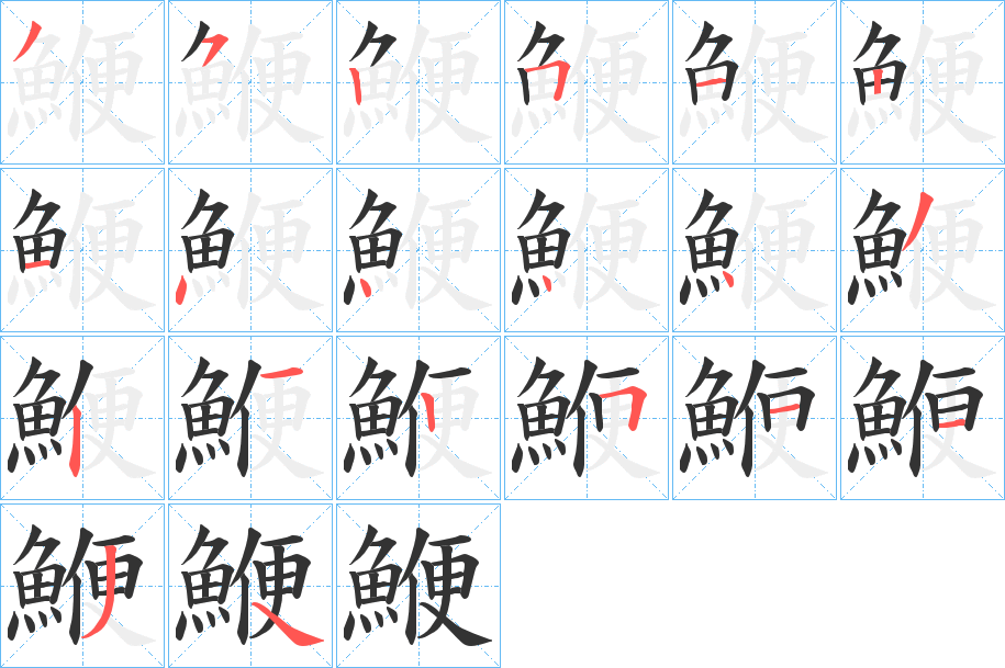 鯾字的笔顺分布演示