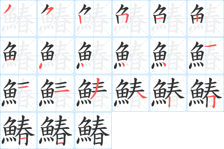 鰆字的笔顺分布演示